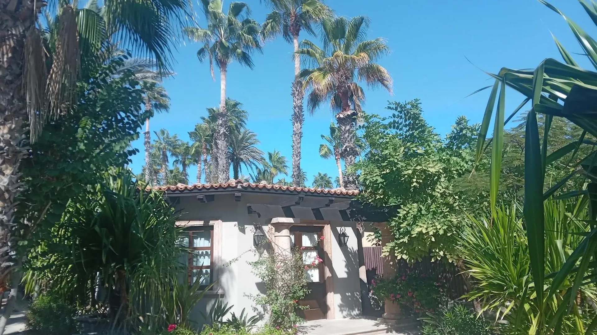 Hacienda La Ballena Cabo San Lucas Semesteranläggning (resort)
